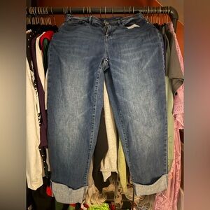 J. Jill Blue Ankle Jeans